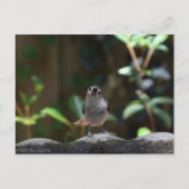 Whatcha Doin Briefkaart (Voorkant)