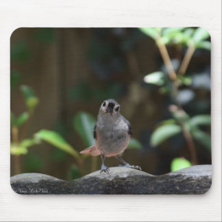 Whatcha Doin Muismat