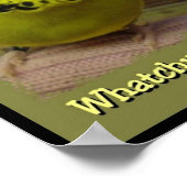 Whatchu tot 3 poster (Hoek)