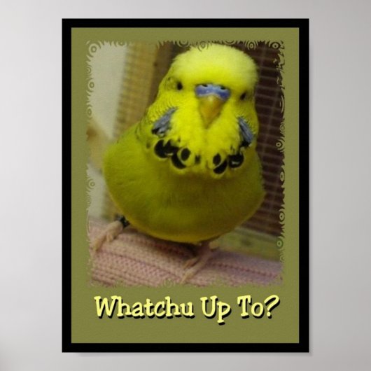 Whatchu tot 3 poster (Voorkant)