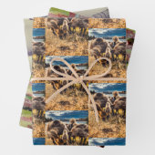 Whatcom County buitenshuis set Inpakpapier Vel (In situ)