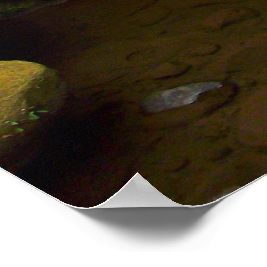 Whatcom-Herfsten Poster (Hoek)