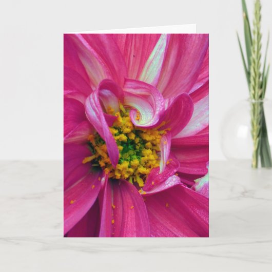 What's in the Frames? #4 Kaart (Voorkant)