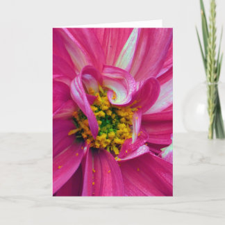 What's in the Frames? #4 Kaart