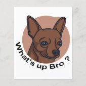 What's Up Bro Chihuahua, Funny Quote Dog (Voorkant)