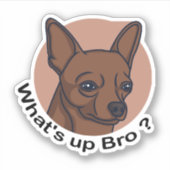 What's Up Bro Chihuahua, Funny Quote Dog Sticker (Voorkant)