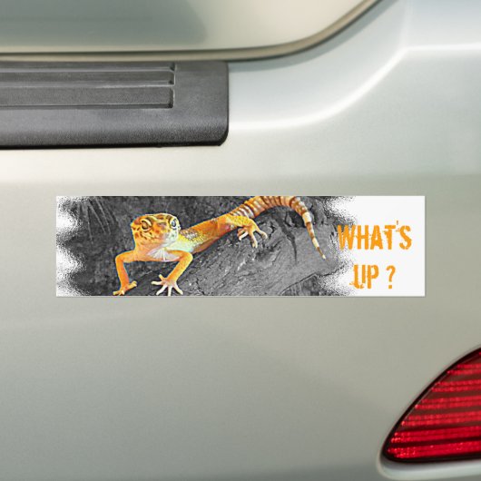 What's up? Gecko, leopard gecko, Bumpersticker (Op auto)