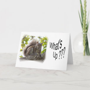 WhatsUp_notecard Kaart