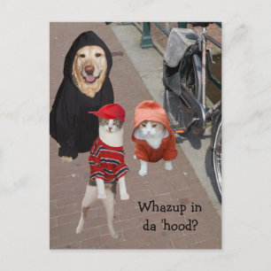 Whazup in de buurt? briefkaart