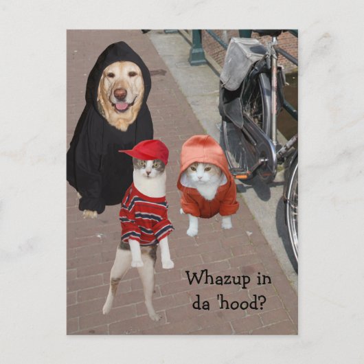 Whazup in de buurt? briefkaart (Voorkant)