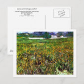 Wheat Field Auvers, White House Van Gogh Fine Art Briefkaart (Voorkant / Achterkant)