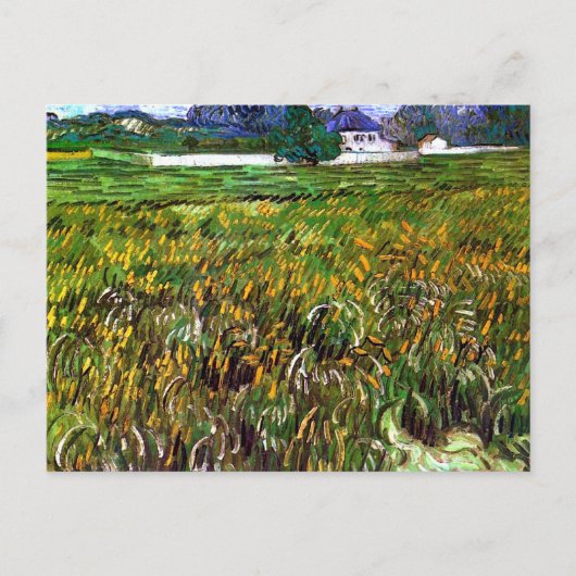 Wheat Field Auvers, White House Van Gogh Fine Art Briefkaart (Voorkant)
