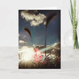 "Wheat Field" Birthday Card Kaart