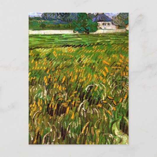 Wheat Field in Auvers door Vincent van Gogh Briefkaart (Voorkant)