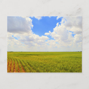 Wheat Field in Scott County, Kansas Briefkaart