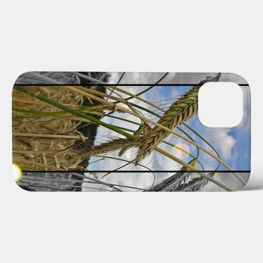Wheat Field iPad case (Achterkant (horizontaal))