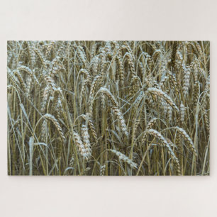 Wheat Field Jigzaag Puzzle Legpuzzel