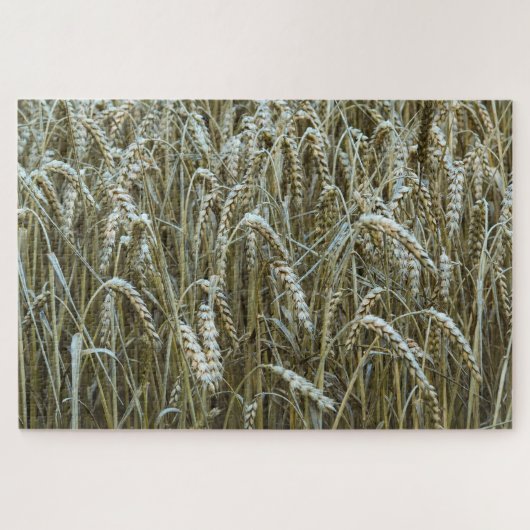 Wheat Field Jigzaag Puzzle Legpuzzel (Horizontaal)