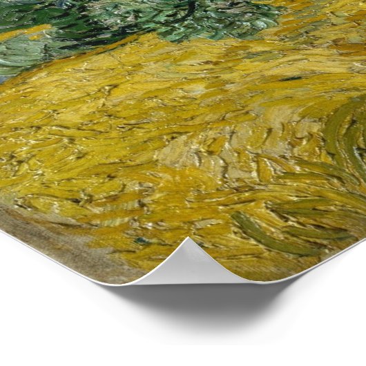 Wheat Field met Cypresses van Vincent van Gogh Poster (Hoek)