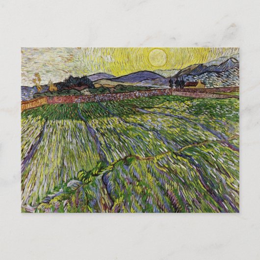 Wheat Fields van Van Gogh Briefkaart (Voorkant)