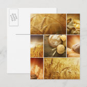 Wheat.Harvest-concepten.Graancollage Briefkaart (Voorkant / Achterkant)