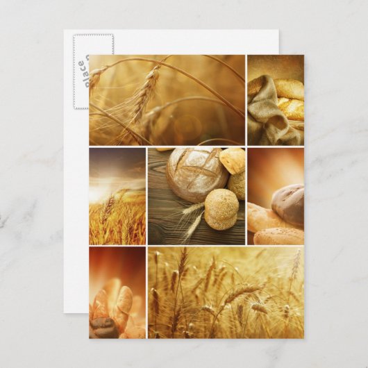 Wheat.Harvest-concepten.Graancollage Briefkaart (Voorkant / Achterkant)