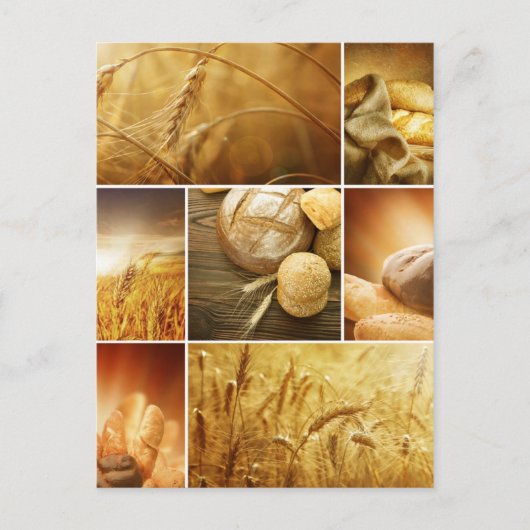 Wheat.Harvest-concepten.Graancollage Briefkaart (Voorkant)