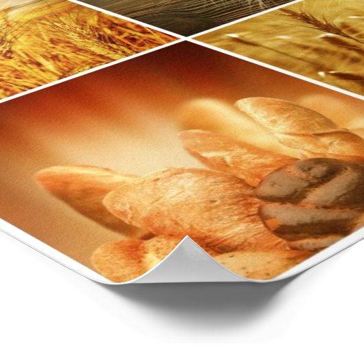 Wheat.Harvest-concepten.Graancollage Poster (Hoek)
