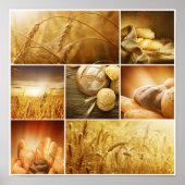 Wheat.Harvest-concepten.Graancollage Poster (Voorkant)