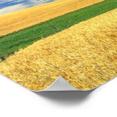 Wheat harvest on the Palouse in Eastern Poster (Hoek)