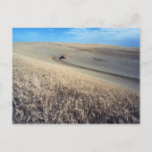 Wheat Harvest op Field Briefkaart (Voorkant)
