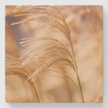 Wheat Sandstone Onderzetter