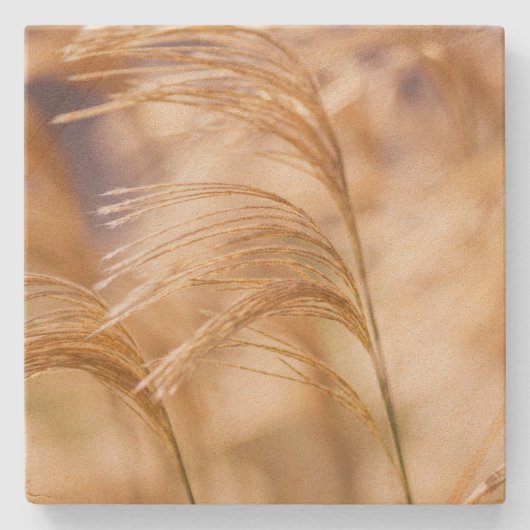 Wheat Sandstone Onderzetter (Voorkant)