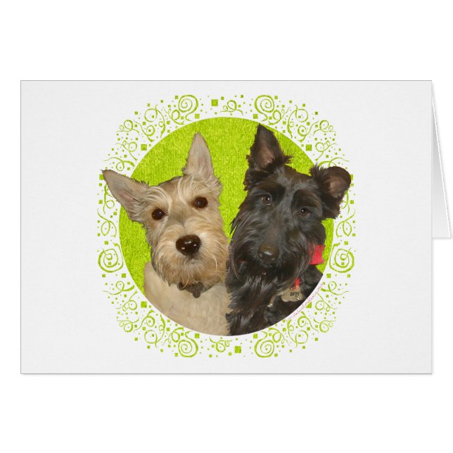 Wheaten & Black Schotse Terriërs (Voorkant Horizontaal)