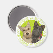 Wheaten & Black Schotse Terriërs Magneet (Voorkant / Achterkant)