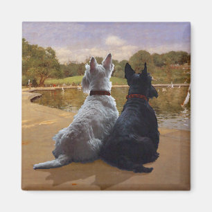 Wheaten & Black Schotse Terriërs Magneet