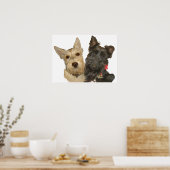 Wheaten & Black Schotse Terriërs Poster (Keuken)