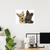 Wheaten & Black Schotse Terriërs Poster (Thuiskantoor)