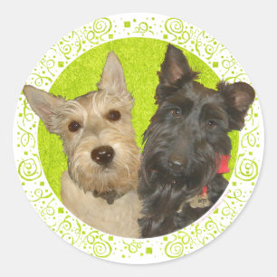 Wheaten & Black Schotse Terriërs Ronde Sticker