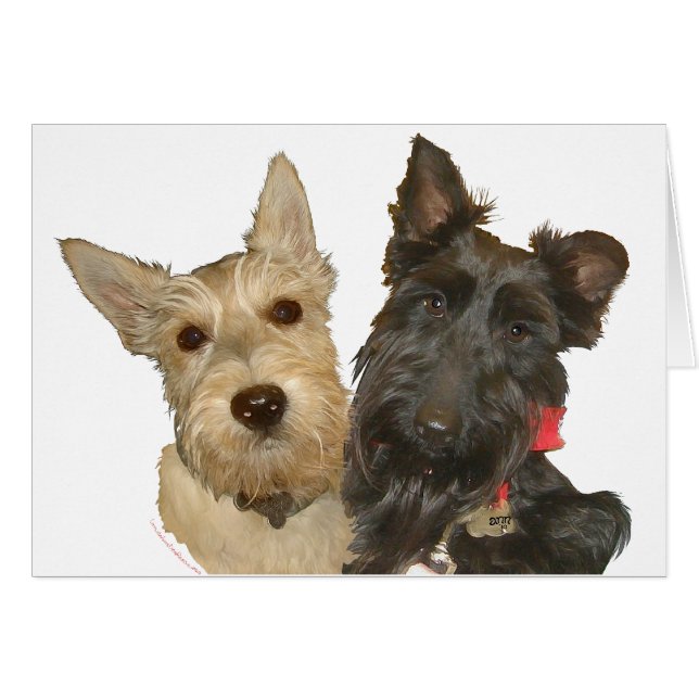 Wheaten & Black Scotties (Voorkant Horizontaal)