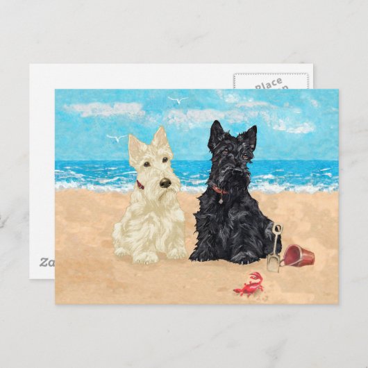 Wheaten & Black Scotties aan de strand Briefkaart (Voorkant / Achterkant)
