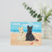 Wheaten & Black Scotties op het strand Briefkaart (Staand voorkant)