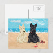 Wheaten & Black Scotties op het strand Briefkaart (Voorkant / Achterkant)