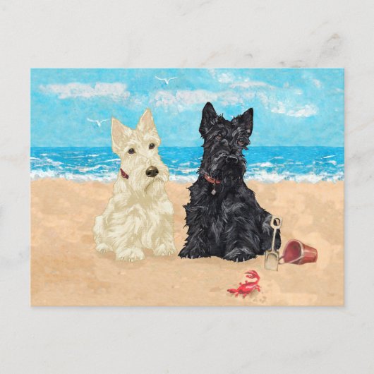 Wheaten & Black Scotties op het strand Briefkaart (Voorkant)