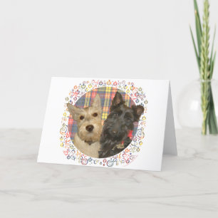 Wheaten & Black Scotties op Tartan Feestdagen Kaart