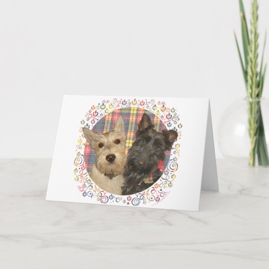 Wheaten & Black Scotties op Tartan Feestdagen Kaart (Voorkant)
