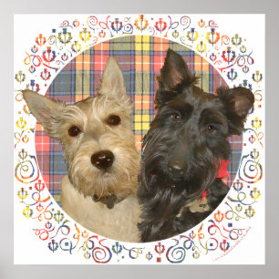 Wheaten & Black Scotties op Tartan Poster