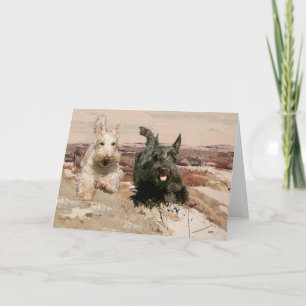 Wheaten & Black Scotties Rennen Kaart