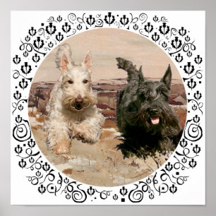 Wheaten & Black Scotties Rennen Poster