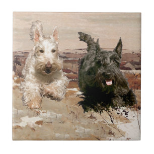 Wheaten & Black Scotties Rennen Tegeltje